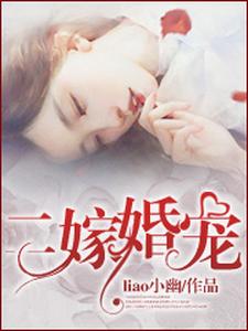 二嫁婚宠小说阅读