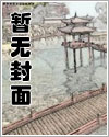 沈若初全文免费阅读