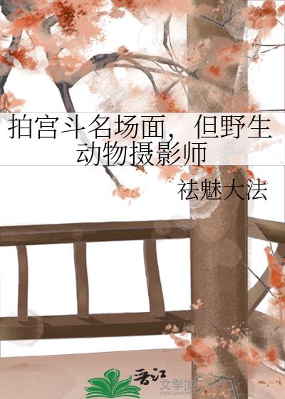 拍宫斗名场面，但野生动物摄影师